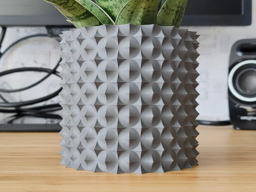 Chậu Cây Gai Hoa Hồng - Thiết Kế Vase Mode - Image 1