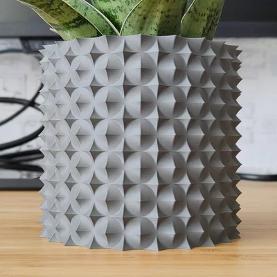 Chậu Cây Gai Hoa Hồng - Thiết Kế Vase Mode