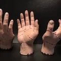 Mô hình bàn tay The THING - Nhân vật độc đáo từ phim Wednesday - Thumbnail 1