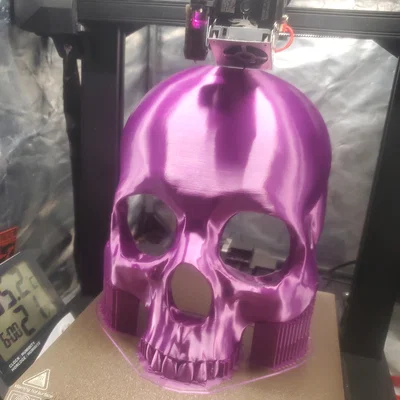 Mặt Nạ Hộp Sọ (Skull Mask)