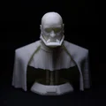 Tượng bán thân Darth Vader không đội mặt nạ (Unmasked Darth Vader Bust) - Thumbnail 6