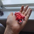 Mô hình cáo Flexi Fox linh hoạt in 3D đáng yêu cho mọi nhà - Thumbnail 1