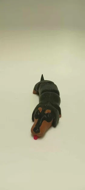 Mô hình chú chó lạp xưởng (Dachshund) linh hoạt in 3D - Image 2