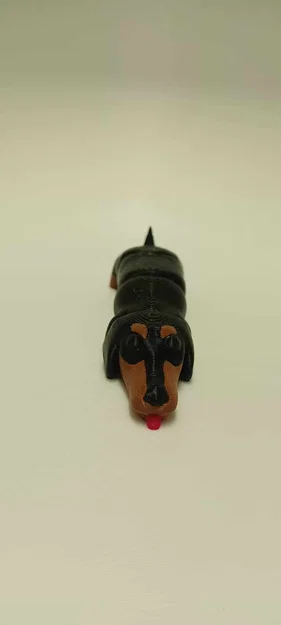 Mô hình chú chó lạp xưởng (Dachshund) linh hoạt in 3D - Image 5