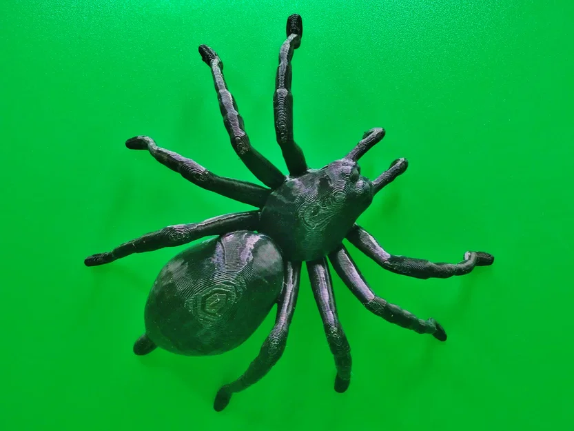 Nhện Tarantula Cỡ Lớn (Big Tarantula spider) - Image 1