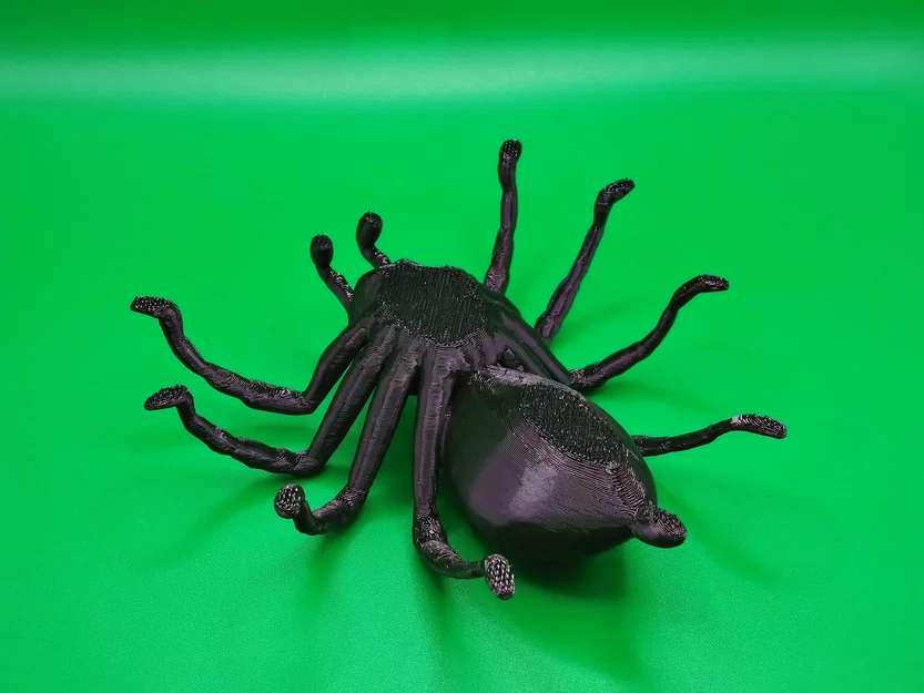 Nhện Tarantula Cỡ Lớn (Big Tarantula spider) - Image 2