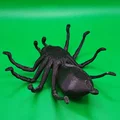 Nhện Tarantula Cỡ Lớn (Big Tarantula spider) - Thumbnail 2