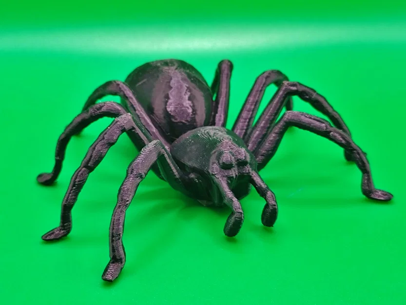 Nhện Tarantula Cỡ Lớn (Big Tarantula spider) - Image 3