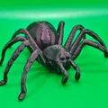 Nhện Tarantula Cỡ Lớn (Big Tarantula spider) - Thumbnail 3