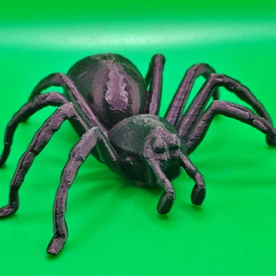 Nhện Tarantula Cỡ Lớn (Big Tarantula spider)
