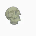 Nắp van Skull Valvecap - Thumbnail 2