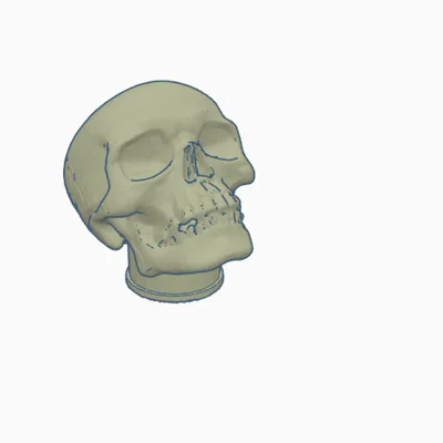 Nắp van Skull Valvecap