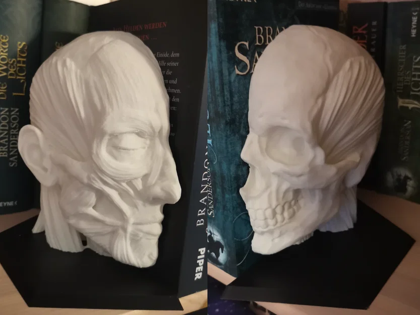 Chặn sách Ecorche - Giải phẫu người (Human Anatomy) - Image 1