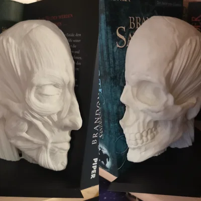 Chặn sách Ecorche - Giải phẫu người (Human Anatomy)