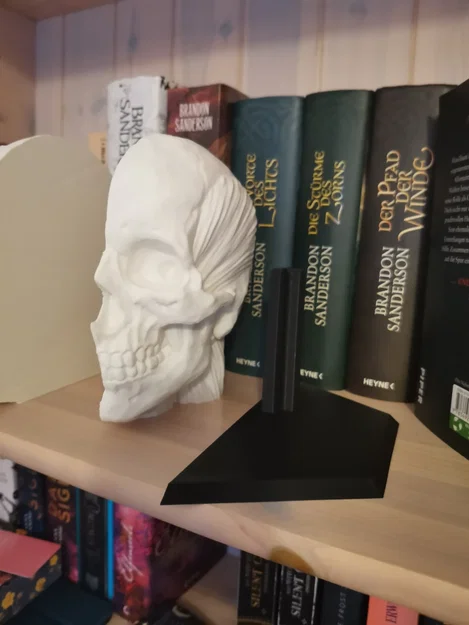 Chặn sách Ecorche - Giải phẫu người (Human Anatomy) - Image 6