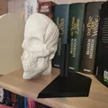 Chặn sách Ecorche - Giải phẫu người (Human Anatomy) - Thumbnail 6
