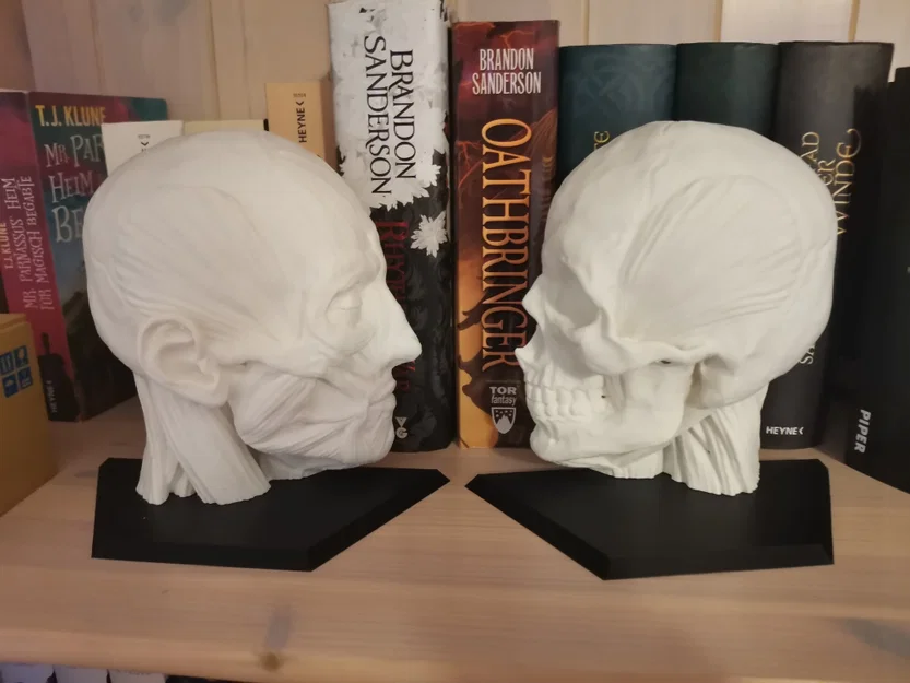 Chặn sách Ecorche - Giải phẫu người (Human Anatomy) - Image 7