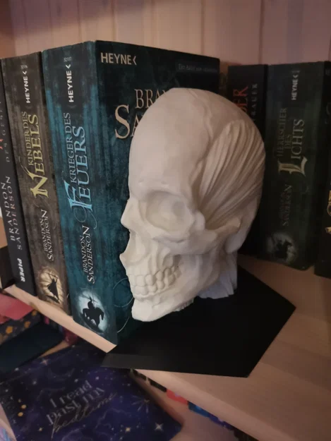 Chặn sách Ecorche - Giải phẫu người (Human Anatomy) - Image 8