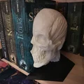 Chặn sách Ecorche - Giải phẫu người (Human Anatomy) - Thumbnail 8