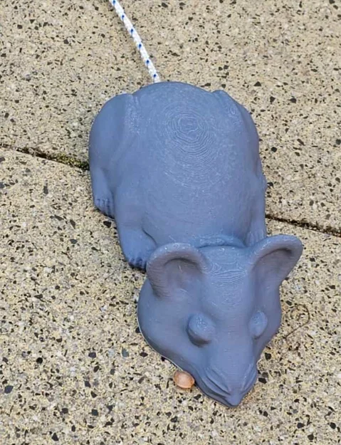 Chuột (Mouse) đa dụng cho đầu dây - Image 1