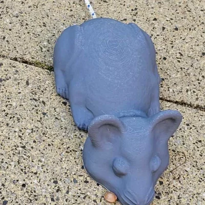 Chuột (Mouse) đa dụng cho đầu dây