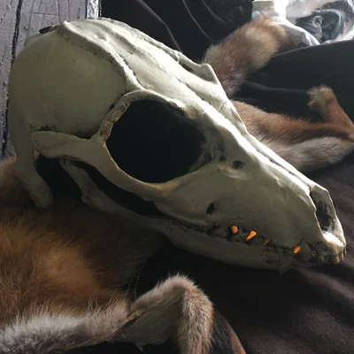 Mặt nạ Shaman (Shaman Mask) in 3D có hàm mở theo miệng