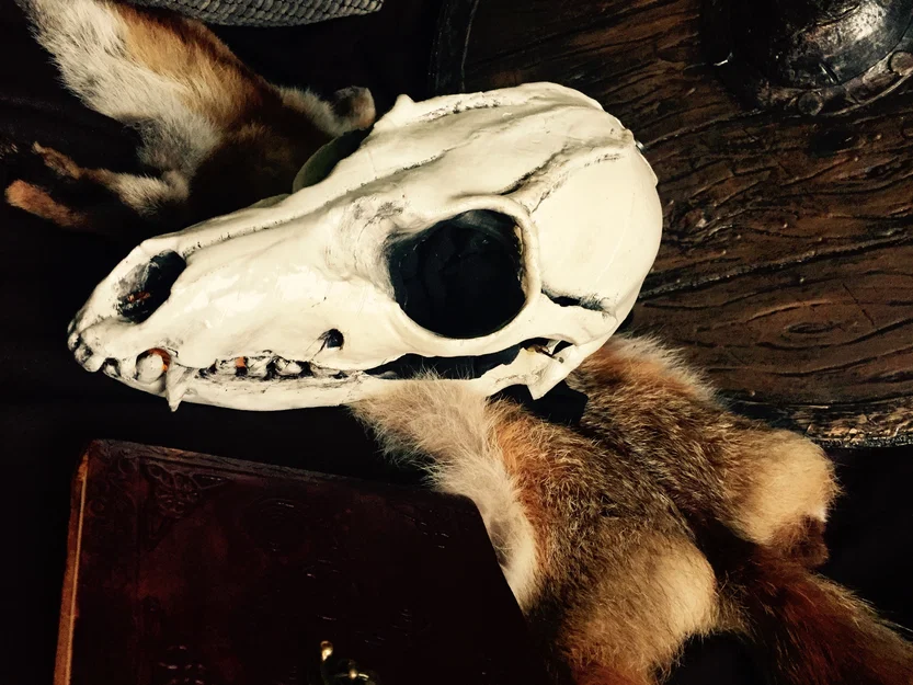 Mặt nạ Shaman (Shaman Mask) in 3D có hàm mở theo miệng - Image 5