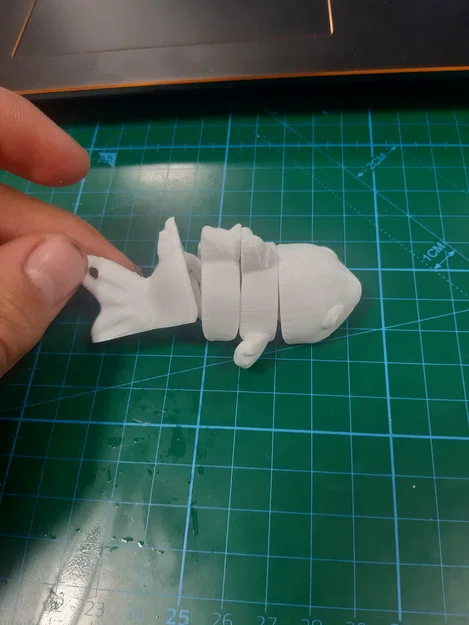 Móc khóa cá khớp nối linh hoạt - Mẫu in 3D độc đáo - Image 1