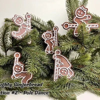 Bộ sưu tập Bánh gừng #2