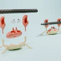 Krabby - Pen Holder (Giá Đỡ Bút) | Krabby càng cử động - Thumbnail 1