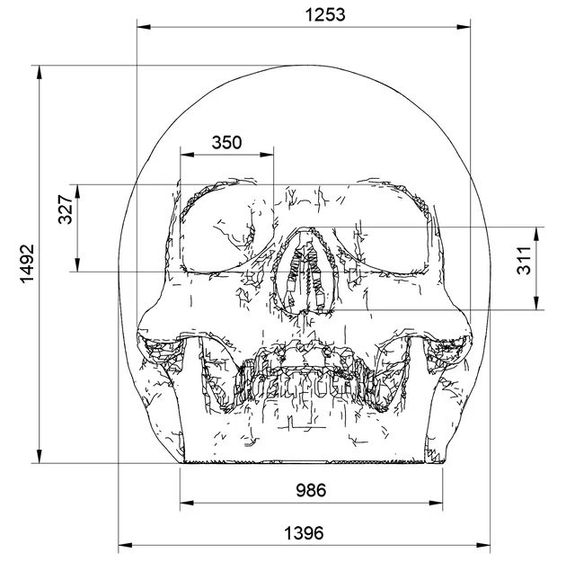 Hộp Sọ Người (Human Skull) - Image 3