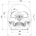 Hộp Sọ Người (Human Skull) - Thumbnail 3