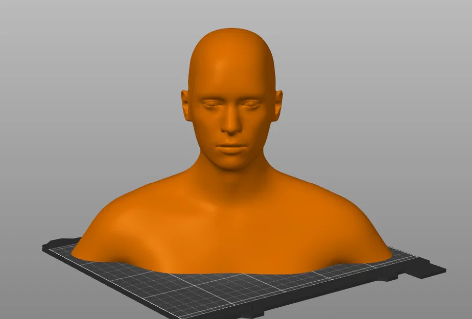 Mô hình tượng bán thân người (Human Head and Shoulders) in 3D - Image 1