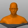 Mô hình tượng bán thân người (Human Head and Shoulders) in 3D - Thumbnail 1