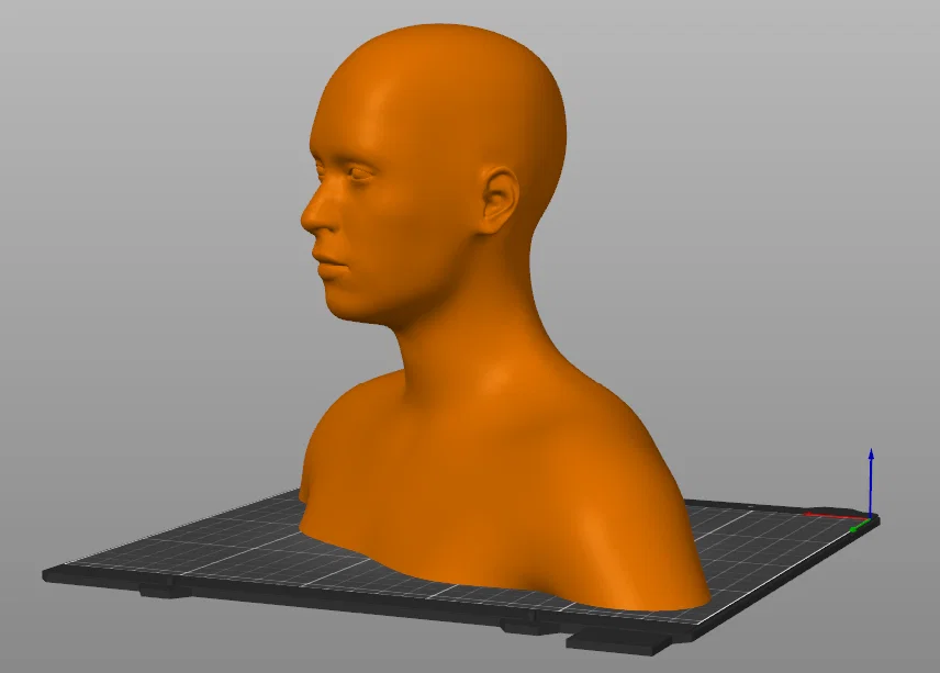 Mô hình tượng bán thân người (Human Head and Shoulders) in 3D - Image 2