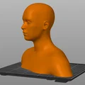 Mô hình tượng bán thân người (Human Head and Shoulders) in 3D - Thumbnail 2