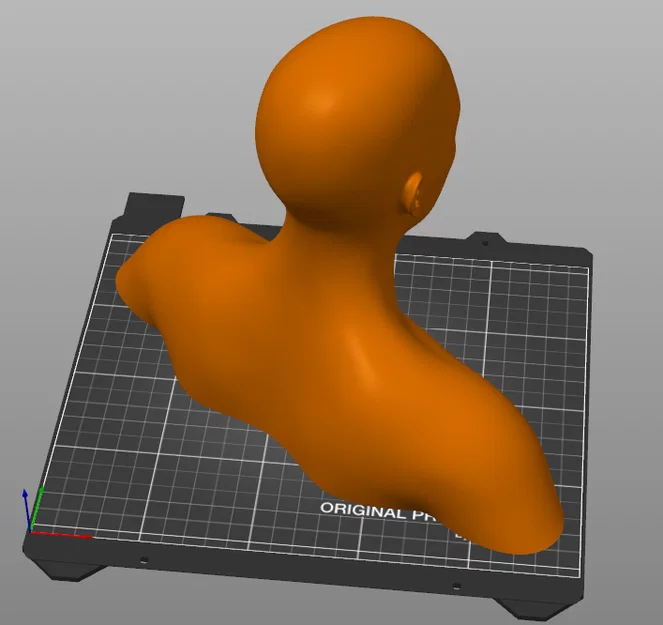 Mô hình tượng bán thân người (Human Head and Shoulders) in 3D - Image 3