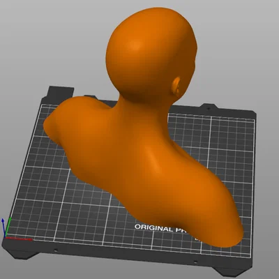 Mô hình tượng bán thân người (Human Head and Shoulders) in 3D