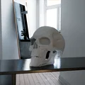 Mô hình hộp sọ cơ khí (Bio Mechanical Skull) - File in 3D cực chất - Thumbnail 1