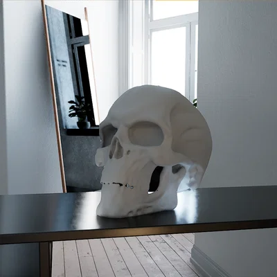 Mô hình hộp sọ cơ khí (Bio Mechanical Skull) - File in 3D cực chất