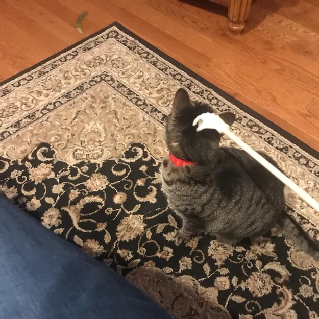 Cây Gãi Lưng Hình Bàn Tay / Kitty Scratcher - Image 2