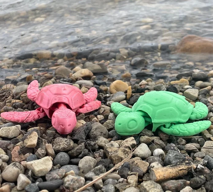 Bé rùa con articulated (baby articulated turtle) dễ thương - Image 1