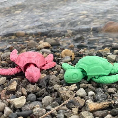 Bé rùa con articulated (baby articulated turtle) dễ thương