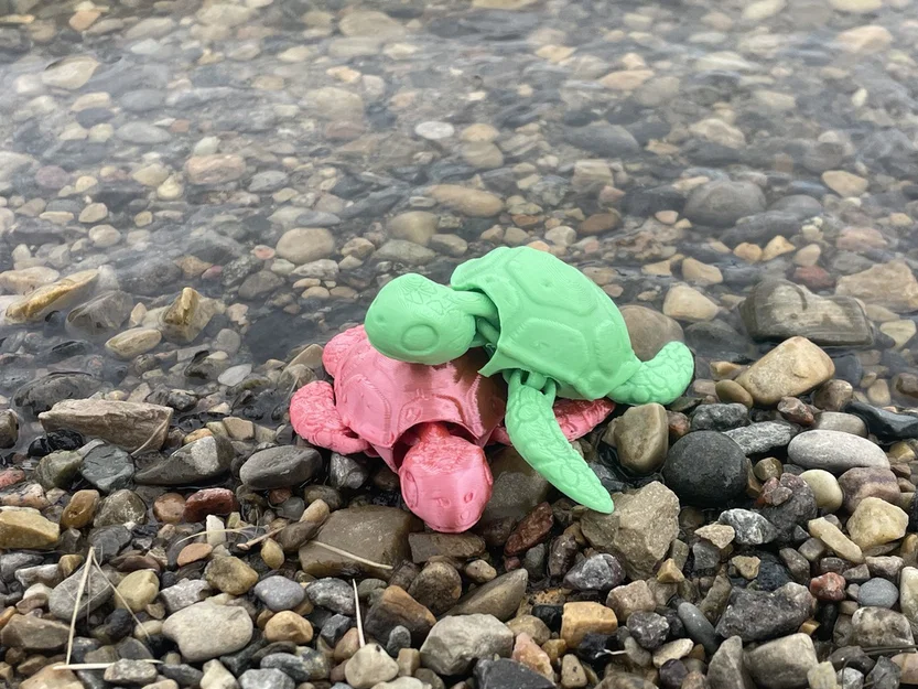 Bé rùa con articulated (baby articulated turtle) dễ thương - Image 4