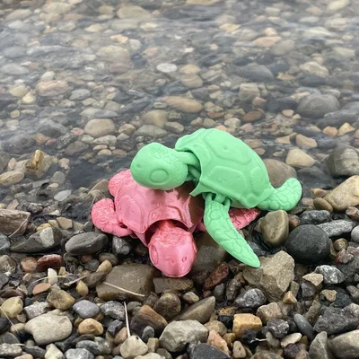 Bé rùa con articulated (baby articulated turtle) dễ thương