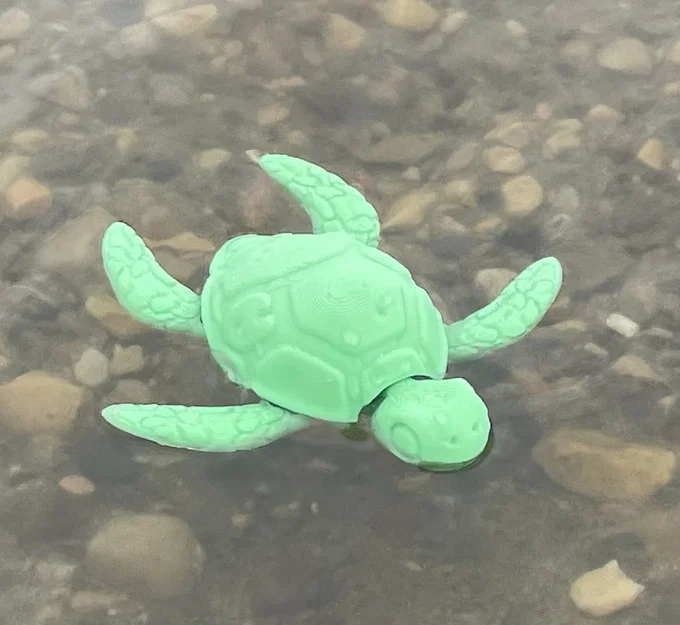 Bé rùa con articulated (baby articulated turtle) dễ thương - Image 7