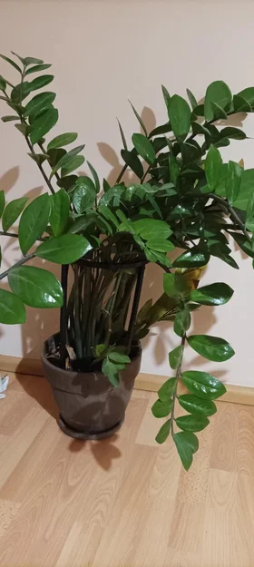 Khung đỡ cây cảnh (Plant support) - Giải pháp chống ngã đổ cho cây trồng - Image 2