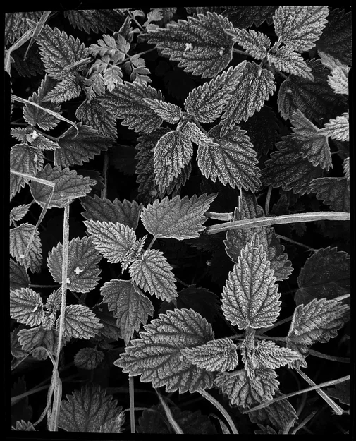 Máy ảnh rail 4x5 open-source (WIP) cho nhôm định hình 2020 - Image 4