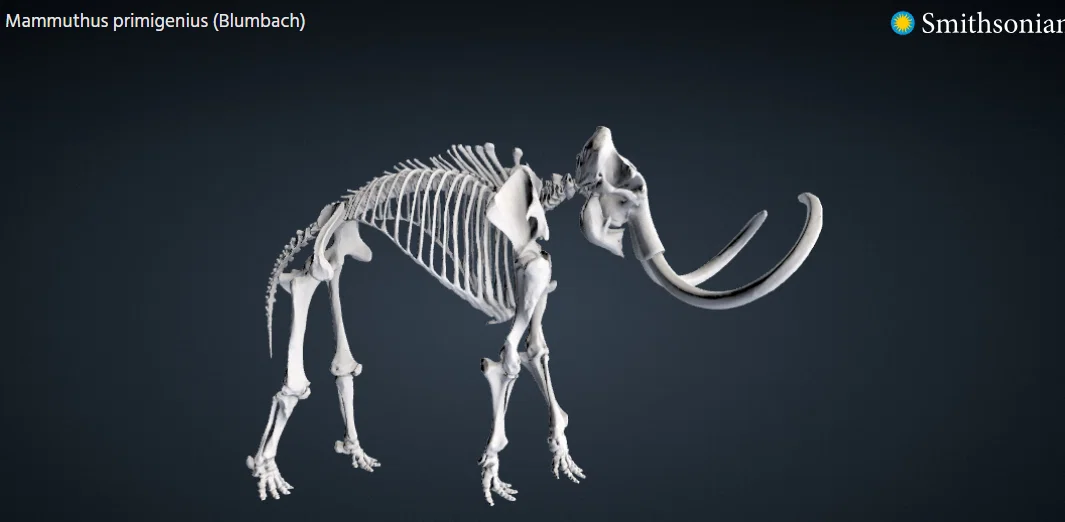 Mô hình 3D bộ xương voi ma mút (Woolly Mammoth) cực chi tiết - Image 1