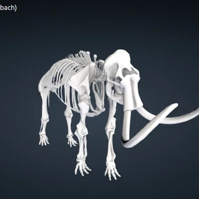 Mô hình 3D bộ xương voi ma mút (Woolly Mammoth) cực chi tiết